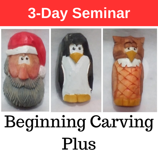 Beginning Carving Plus