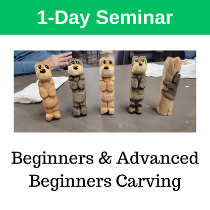Advanced Beginner to Intermediate Carving