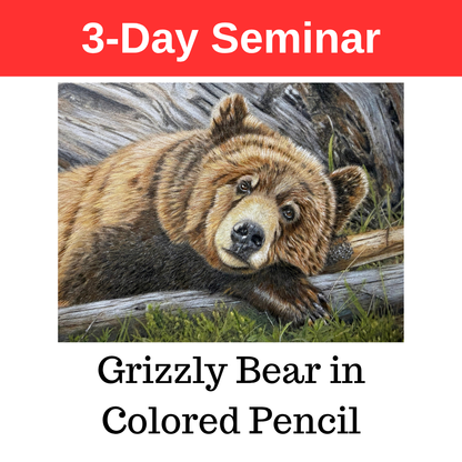 Grizzly Bear in Colored Pencil