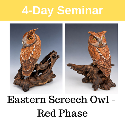 Eastern Screech Owl - Red Phase