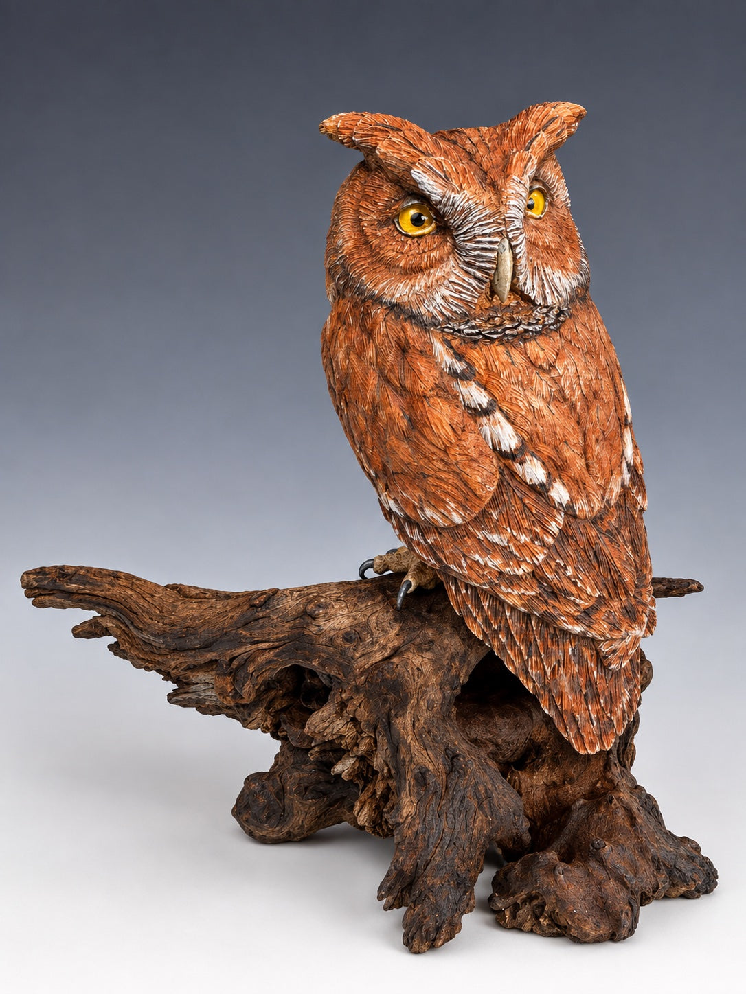Eastern Screech Owl - Red Phase